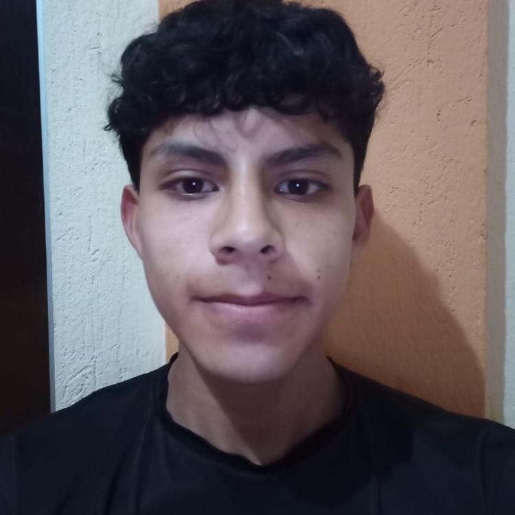 User Image
