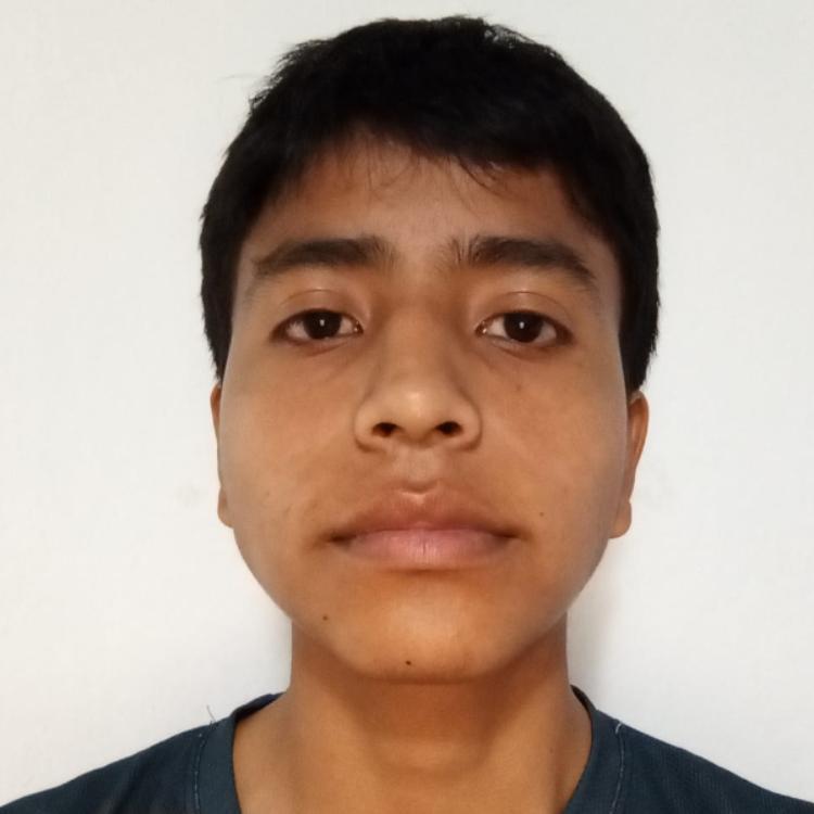 User Image